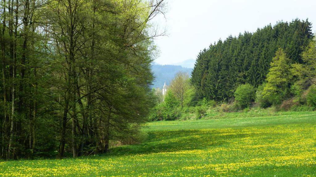 Villa Olsberg Elpe Habitación foto